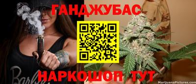 гашик Гусев