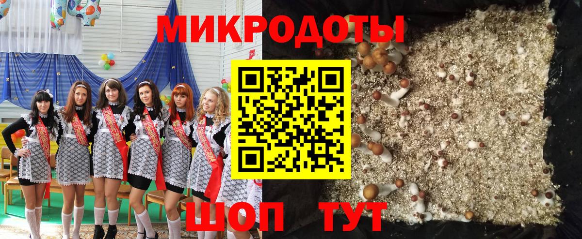 Псилоцибиновые грибы Cubensis Нерюнгри